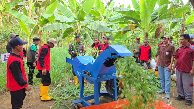 Salah satu kegiatan unggulan dalam program ini adalah pelatihan pembuatan pakan ternak melalui fermentasi yang digelar oleh Dinas Peternakan Kabupaten Malang.