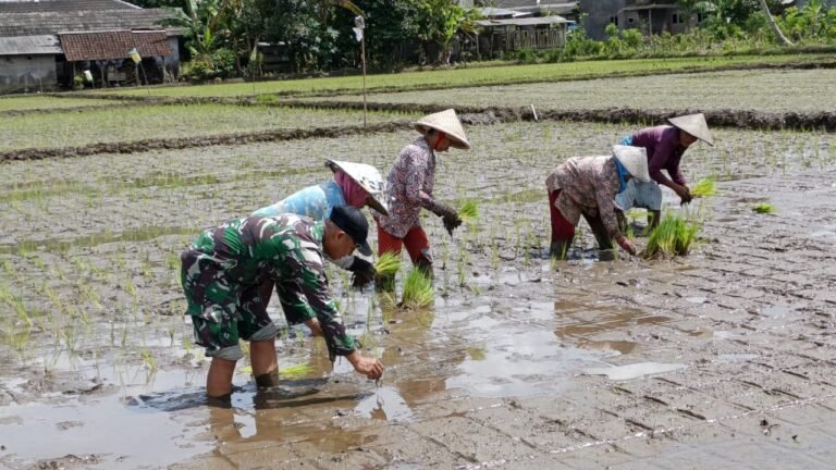 saksi kebersamaan antara anggota Satgas TMMD ke-126 dan warga setempat.