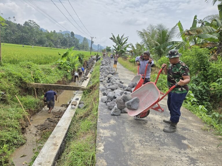 Suara Batu yang jatuh berpadu dengan tawa warga terdengar akrab di Dusun Krajan II, Desa Lebakharjo, Kecamatan Ampelgading. Di bawah teriknya matahari, personel Satuan Angkatan Laut (TNI AL) bersama Kodim 0818/Malang-Batu dan masyarakat setempat bahu-membahu melanjutkan pekerjaan saluran irigasi dalam program TMMD ke-126.