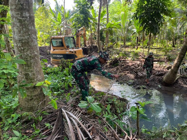 Fokus utama saat ini adalah kelanjutan Normalisasi Saluran Irigasi yang dilaksanakan oleh satuan Yonarmed 8/UY beserta masyarakat bertempat di Dusun Lebaksari, Desa Lebakharjo, Kecamatan Ampelgading, Malang.